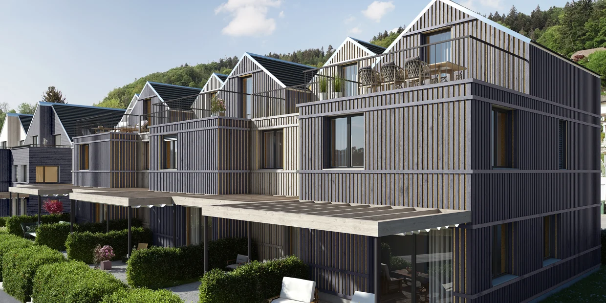 Unico Tiny House D Teufenthal Aarau